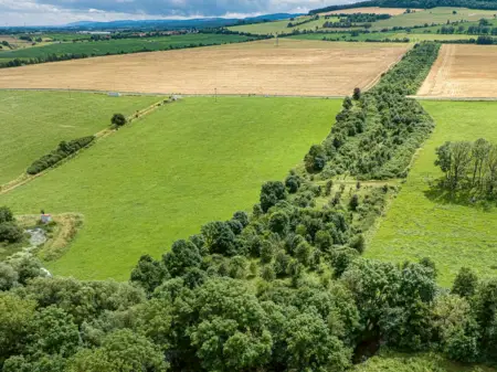 Luftaufnahme: Durch eine von Feldern und Wiesen geprägte Landschaft zieht sich ein etwa zwanzig Meter breiter Waldkorridor.