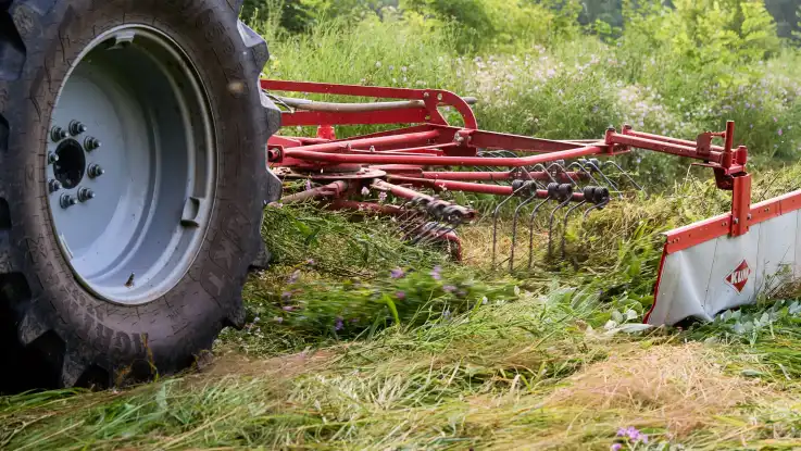 Ein Traktor rollt gemächlich über eine Wildblumenwiese, während er eine rechenartige Apparatur hinter sich herzieht.