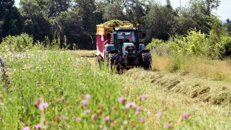 Ein türkisfarbener Traktor zieht einen rot-gelben Heuwagen durch die Wiese, der das geschnittene Gras automatisch aufliest.