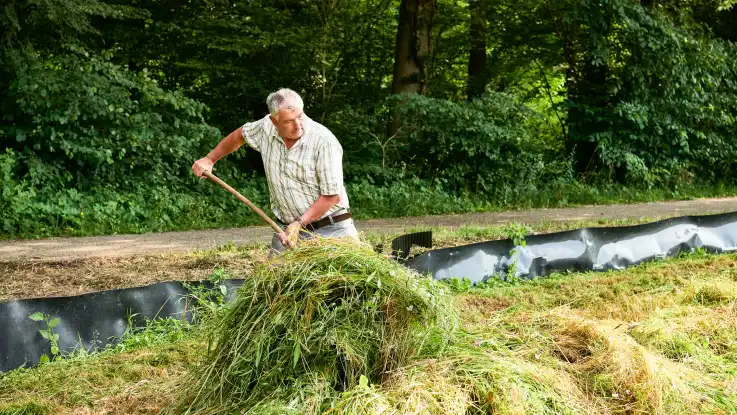 Ein Mann mit hellem Karo-Hemd und grauen Haaren verteilt großzügig Mahdgut mit einer Heugabel. 