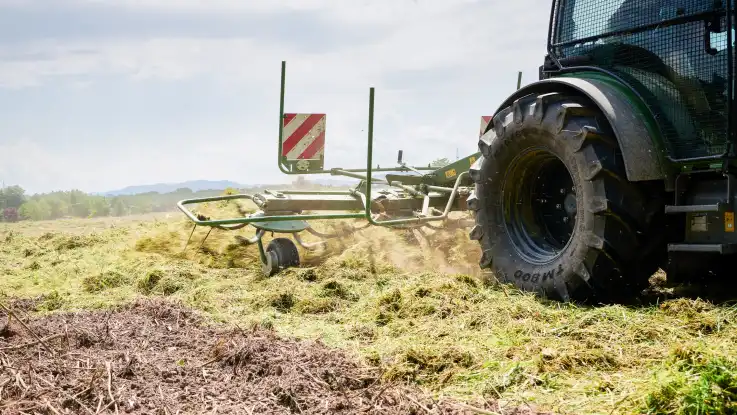  Wie ein grüner Teppich schmiegt sich das Mahdgut nun über die graue Wiese, nachdem es mit dem Traktor verteilt wurde.